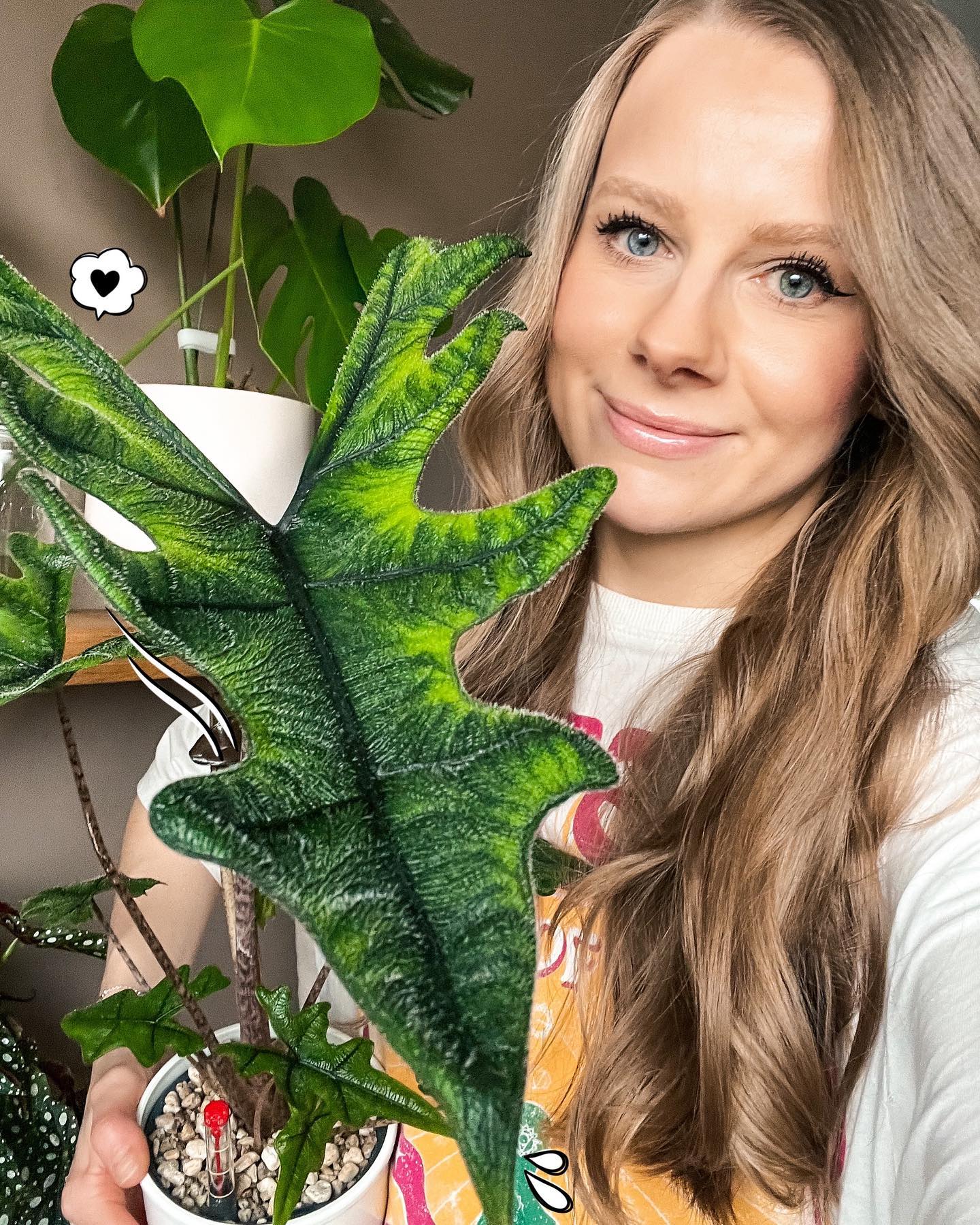 A beautiful blonde girl smiling while holding an Alocasia Jacklyn in her hands