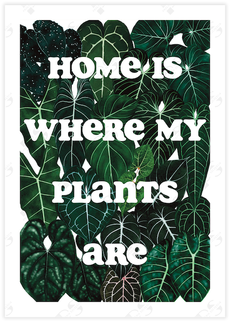 The words &quot;Home is where my plants are&quot; cut out in white against a wall of aroid leaves