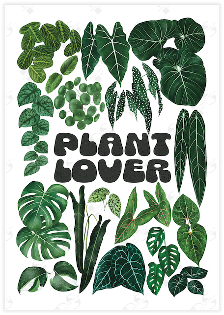 A poster with the words plant lover in the center surrounded by various leaves